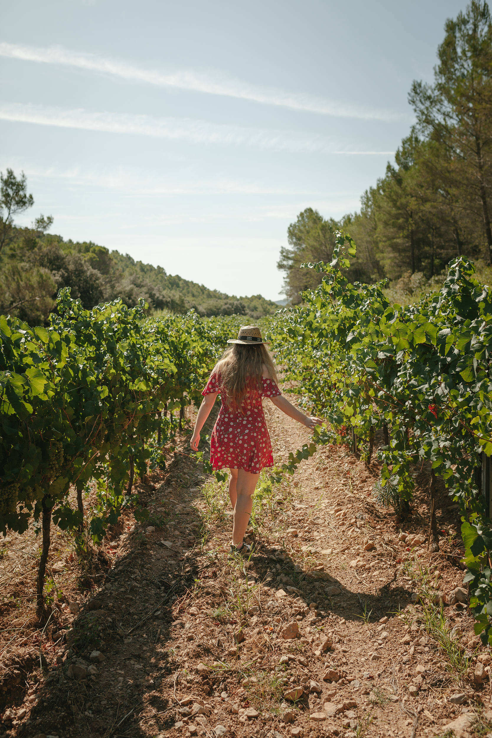 Vale Regalo – Terroir Essence