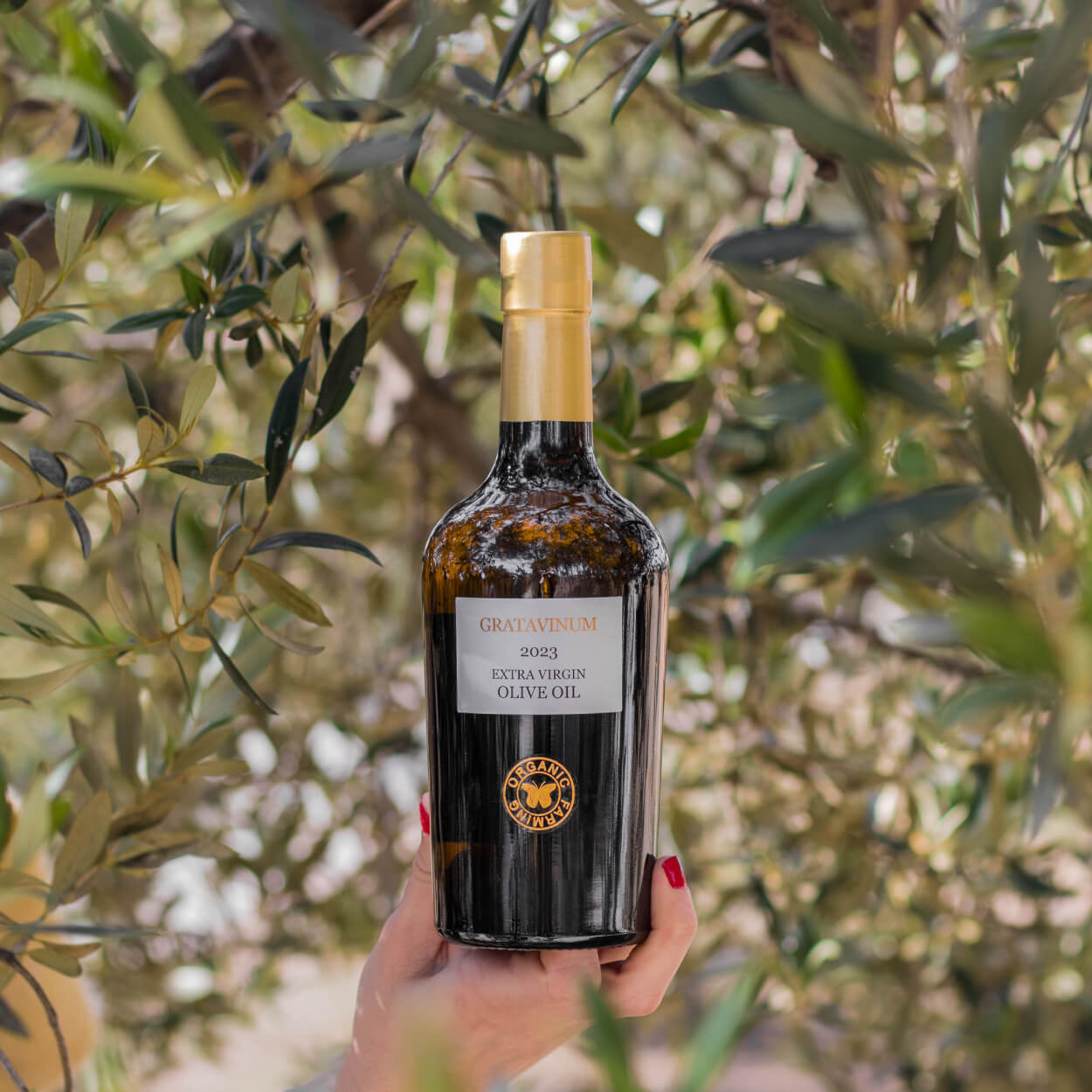 Aceite de oliva virgen extra ecológico