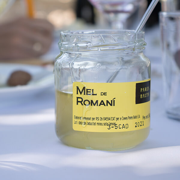 Miel de romero ecológica