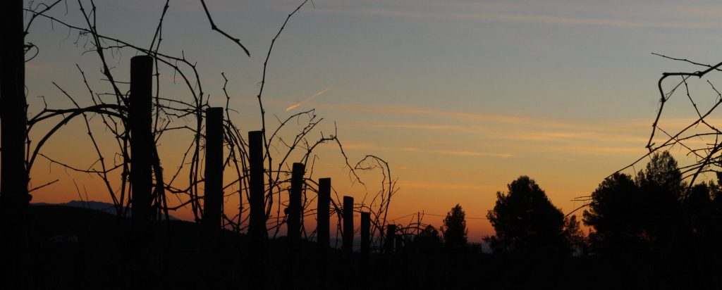 Posta sol Parés Baltà