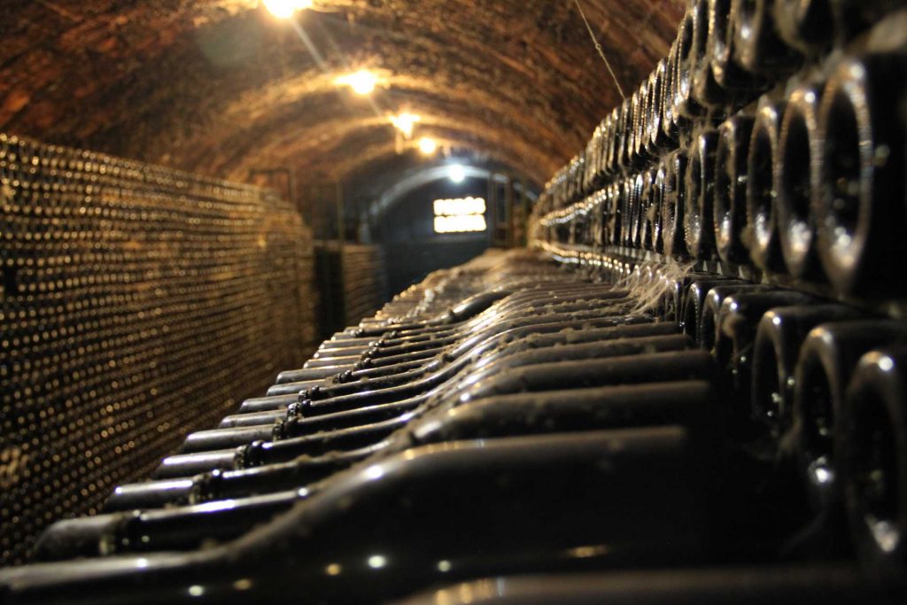 CAVA PARES BALTA ELABORADOR INTEGRAL