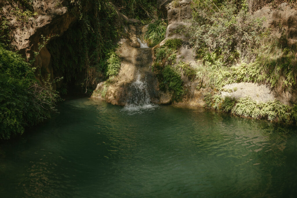 Els pèlags de Parés Baltà