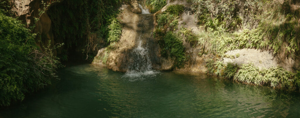 Els pèlags de Parés Baltà