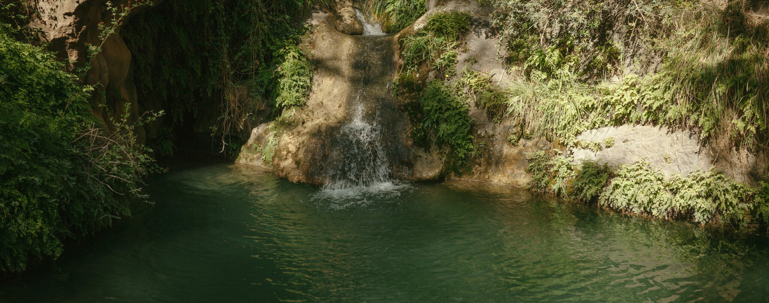 Els pèlags de Parés Baltà